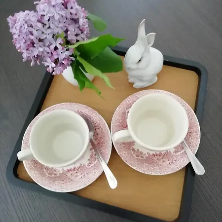 Casa Seggiovia アパート *